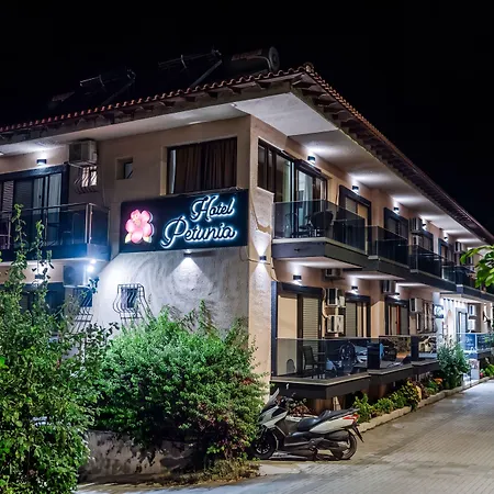 酒店 牵牛花酒店 新马尔马拉斯