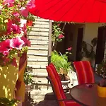 Petunia 2*