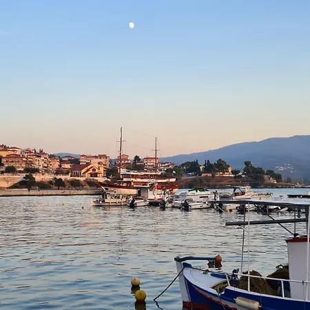 πετούνια Ξενοδοχείο Νέος Μαρμαράς