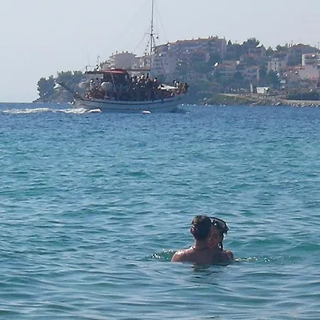 Petunia 2* Neos Marmaras