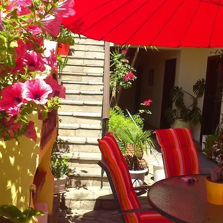 Petunia 2*